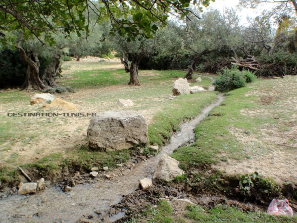 Randonnée sur le djebel Bargou Destination Tunis
