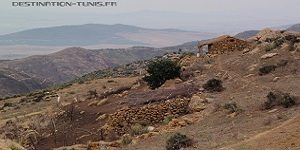 Ansarine Tunisie