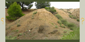 Couche-geologique-limite-Cretace-Tertiaire-Le-Kef-Tunisie